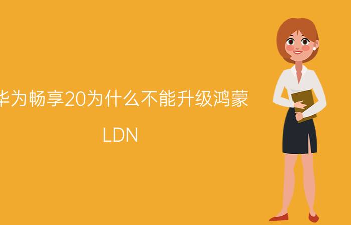 华为畅享20为什么不能升级鸿蒙 LDN